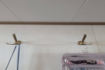 Balcony Stateroom Cabin 6069. Picture