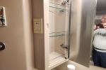 Verandah Stateroom Picture