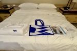 Balcony Stateroom Cabin B301. Picture