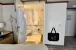 Balcony Stateroom Cabin B301. Picture