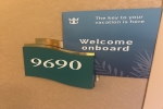 Deluxe Balcony Stateroom Cabin 9690. Picture