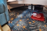 Deluxe-Verandah Stateroom Cabin 9574. Picture