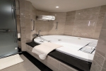 Silver Suite Stateroom Picture