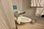 Oceanview Stateroom Cabin 2020. Picture