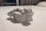 Boardwalk and Central Park Balcony Stateroom Cabin 10181. Picture