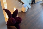 Royal Loft Suite Cabin Picture