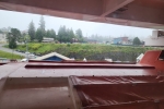 Oceanview Stateroom Cabin E201. Picture