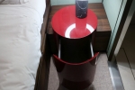 Haven-Penthouse Stateroom Cabin 12912. Picture