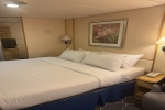 Atrium Promenade View Cabin Picture