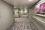 Verandah Stateroom Picture