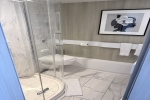 Verandah Stateroom Picture