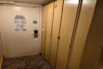 Interior Stateroom Cabin 3633. Picture
