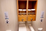 Panoramic Stateroom Cabin 14122. Picture