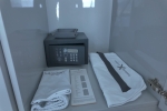 Iconic Stateroom Cabin 12101. Picture