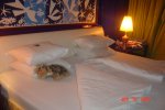Owners Suite Stateroom Picture