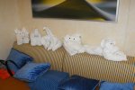 Cove Balcony Stateroom Picture