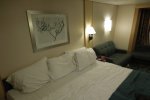 Promenade View Interior Stateroom Picture