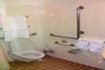 Mini-Suite Stateroom Picture