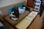 Balcony Stateroom Picture