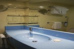 Cove Balcony Stateroom Picture