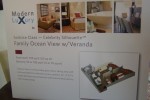 Horizon Suite Stateroom Picture