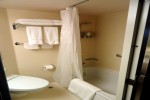 Verandah Stateroom Picture