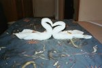 Deluxe Verandah Stateroom Picture