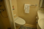 Promenade View Interior Stateroom Picture