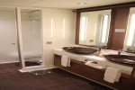 Forward Penthouse Stateroom Picture