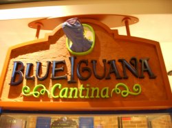 Blue Iguana Cantina picture