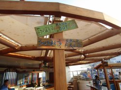 Carnival Victory Blue Iguana Tequila Bar picture