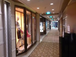 Galleria Boutiques picture