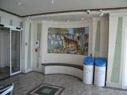 Independence of the Seas Solarium picture Uploaded in 2018 Photo courtesy of Ralph van der Meijs. Independence of the Seas Solarium picture