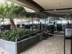 Oasis of the Seas Solarium Cafe picture