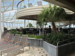 Oasis of the Seas Solarium Cafe picture