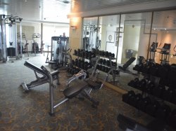 Vision of the Seas Fitness Center picture