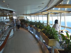 Vision of the Seas Windjammer Cafe picture