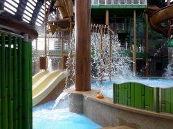 MSC Seaview Forest Aquaventure Park picture