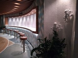 Mariner of the Seas Solarium picture