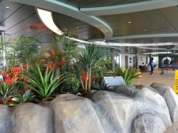 MSC Seaview Jungle Pool picture