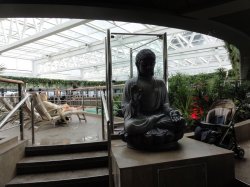 MSC Seaview Jungle Pool picture