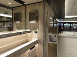 MSC Seaview Marketplace Buffet picture