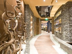 MSC Splendida MSC Aurea Spa picture