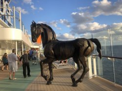 Celebrity Edge Jogging Track picture Uploaded in 2018 Photo courtesy of Nancy Socha. Celebrity Edge Jogging Track picture