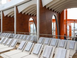 Celebrity Edge Pool picture