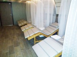 Nieuw Statendam Greenhouse Spa & Salon picture