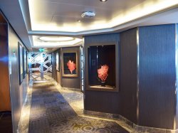 Koningsdam Crows Nest picture