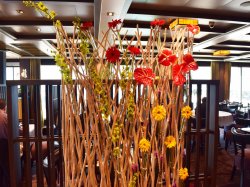 Koningsdam Tamarind picture