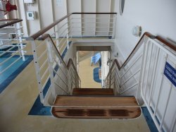 Adventure of the Seas Observation Deck picture Uploaded in 2019 Photo courtesy of Steve Millay. Adventure of the Seas Observation Deck picture