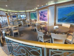 Grand Princess Horizon Court picture